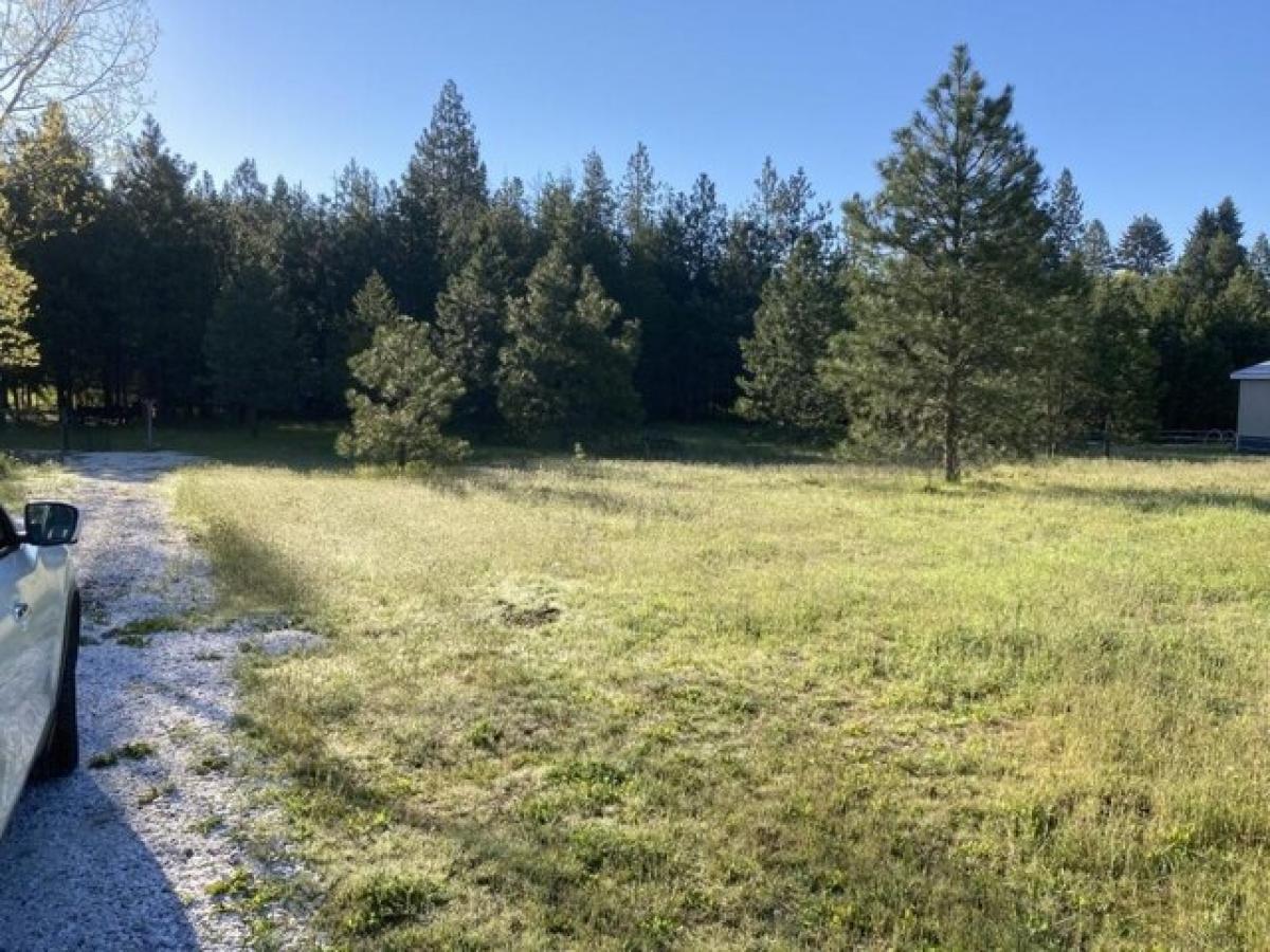 Picture of Residential Land For Sale in Springdale, Washington, United States