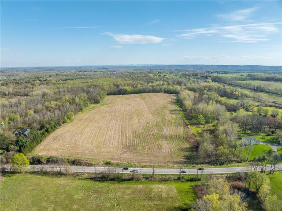 Picture of Residential Land For Sale in Macedon, New York, United States