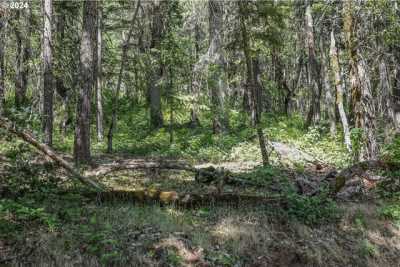 Residential Land For Sale in White Salmon, Washington