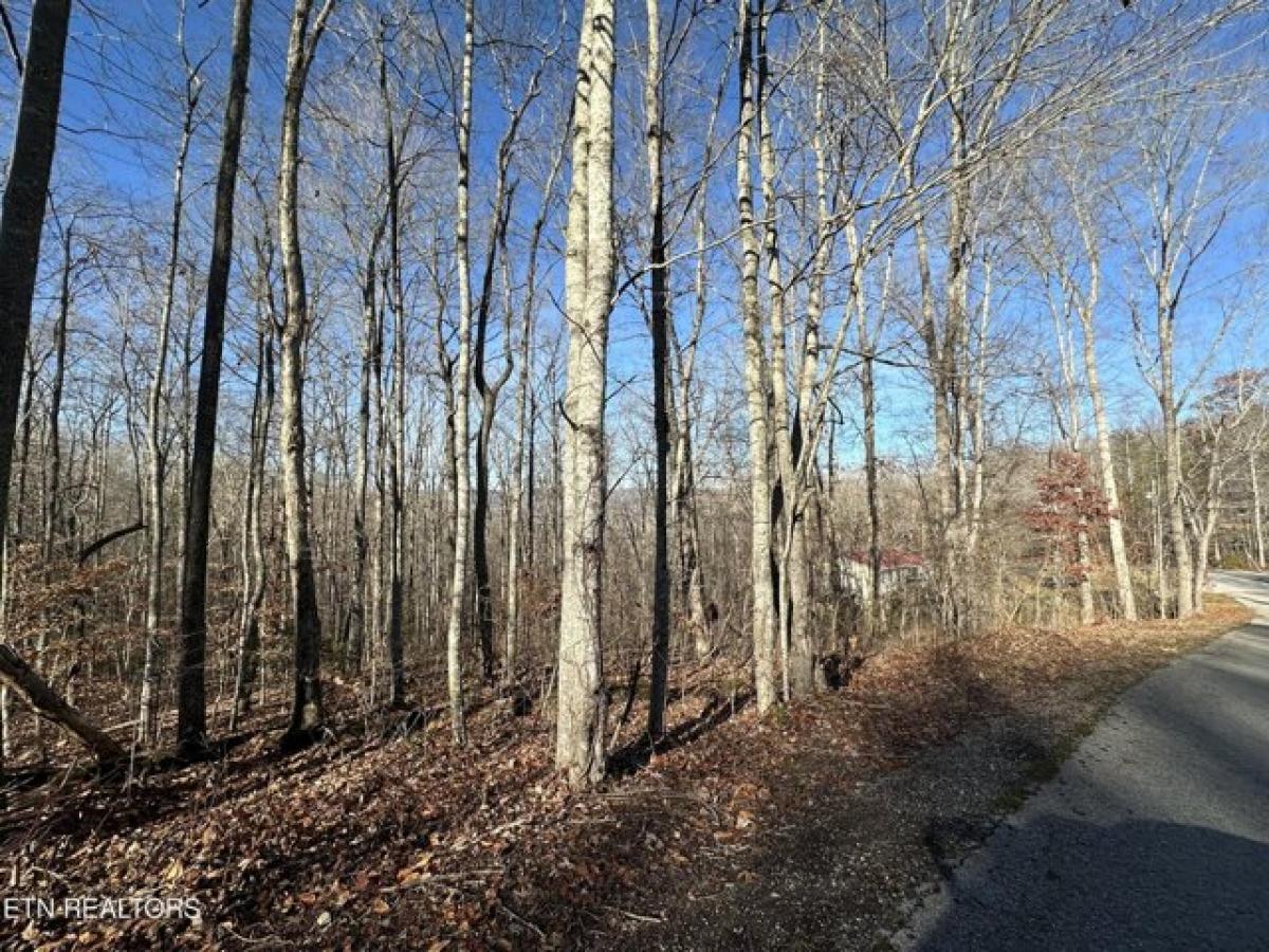 Picture of Residential Land For Sale in La Follette, Tennessee, United States