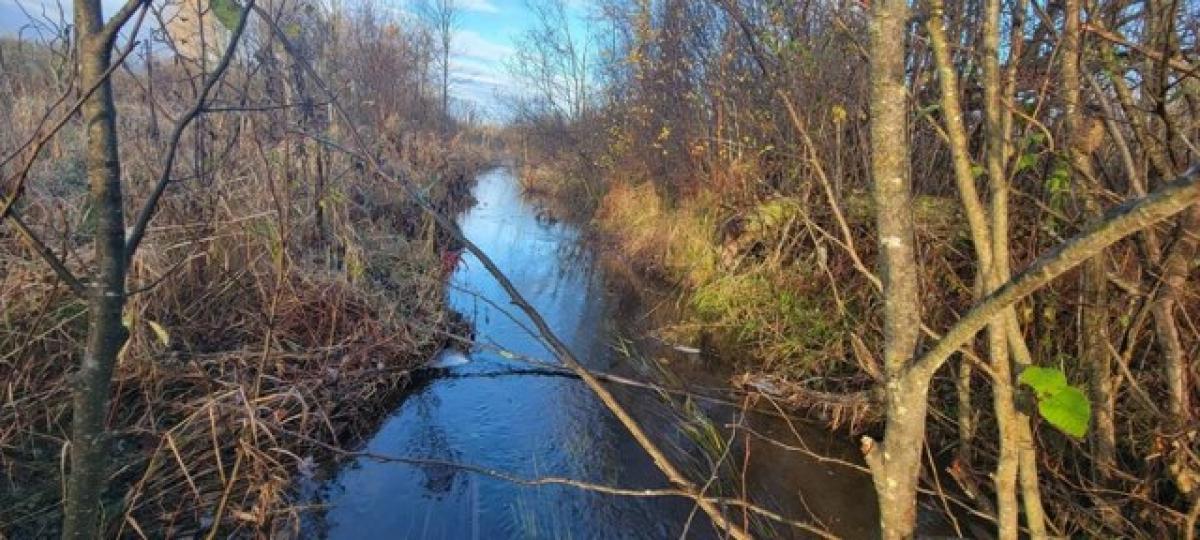 Picture of Residential Land For Sale in Pulaski, New York, United States