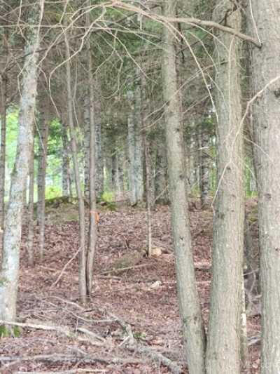 Residential Land For Sale in Iron River, Michigan