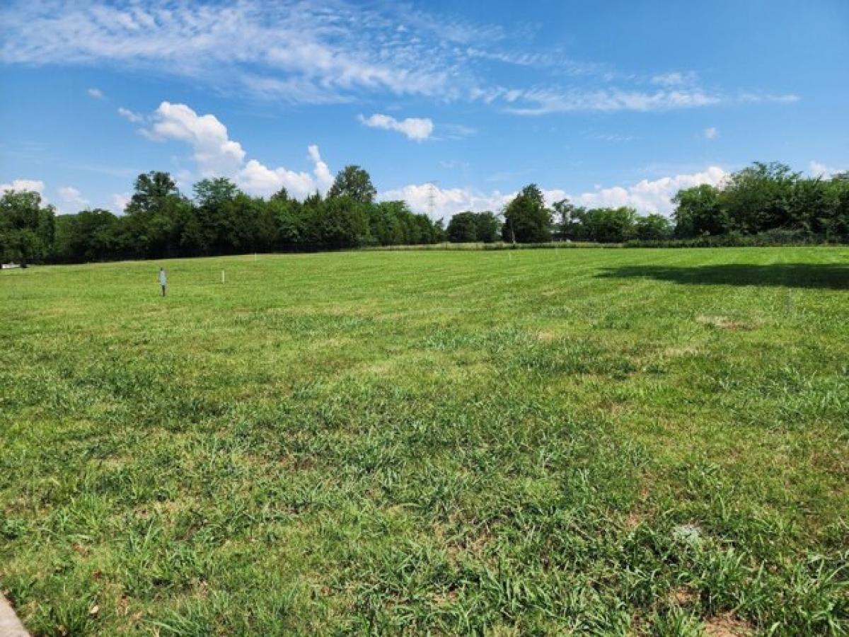 Picture of Residential Land For Sale in Lebanon, Tennessee, United States