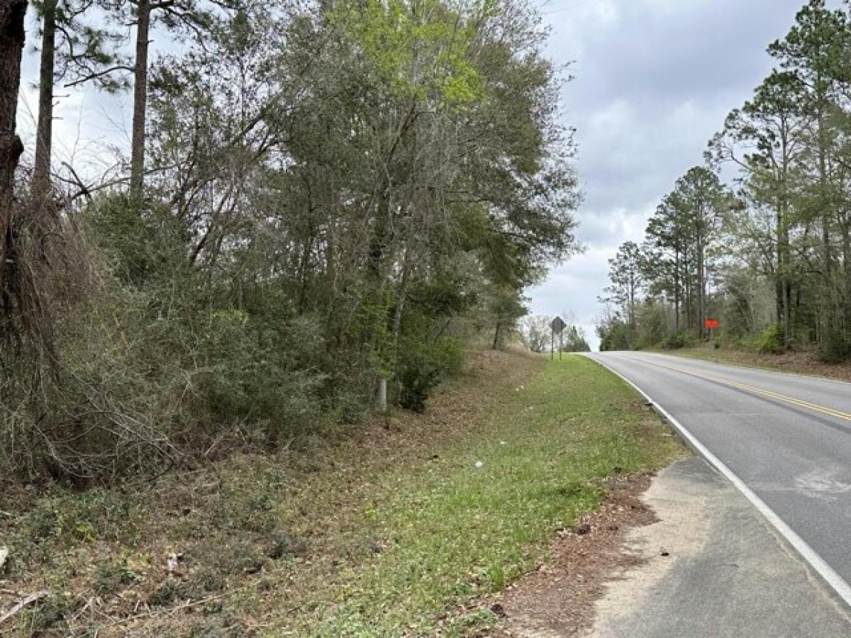 Picture of Residential Land For Sale in Bonifay, Florida, United States