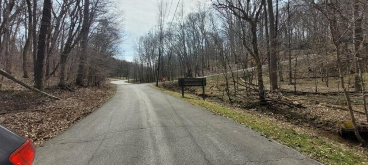 Picture of Residential Land For Rent in Dover, Tennessee, United States