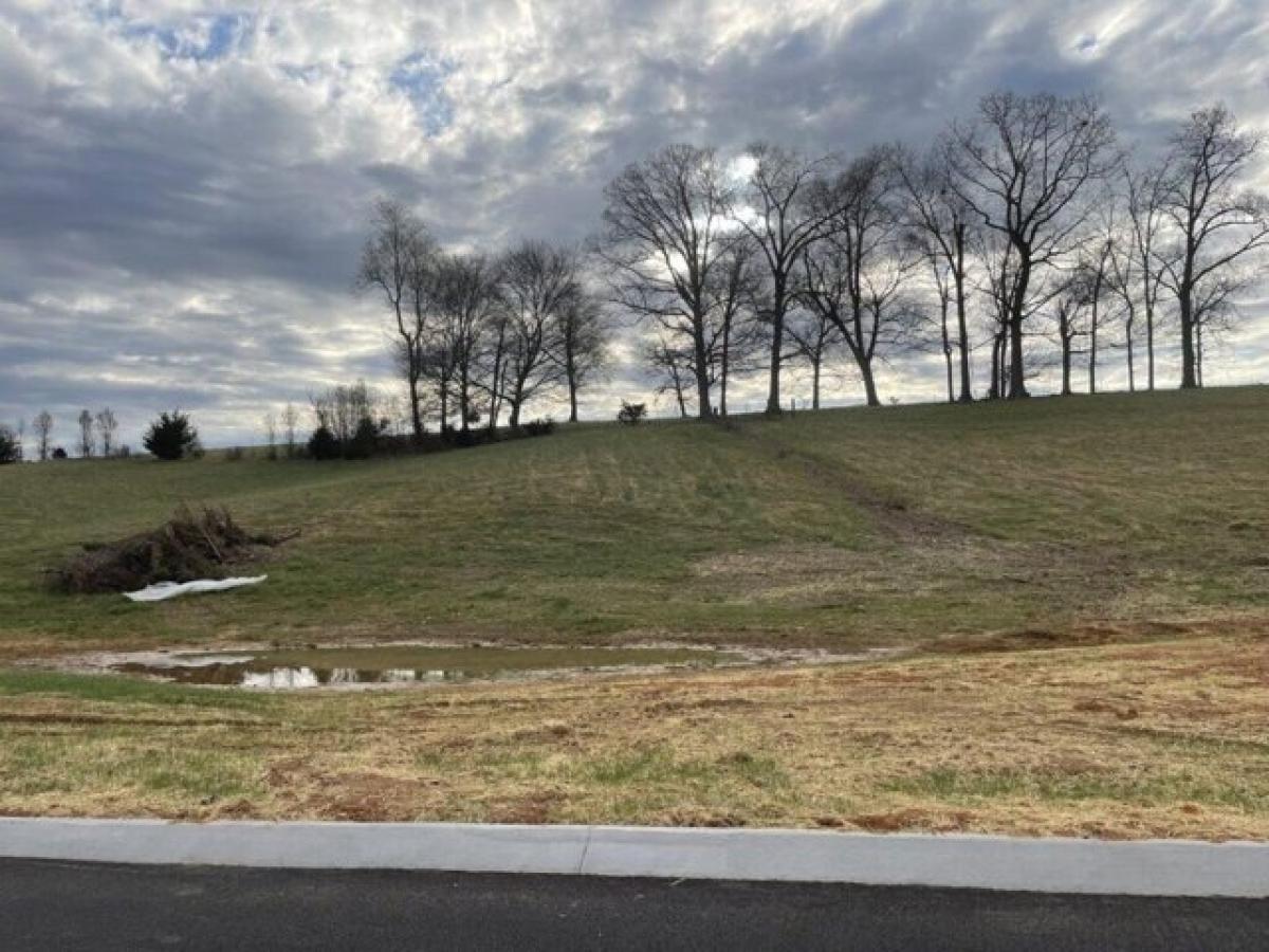 Picture of Residential Land For Sale in Jonesborough, Tennessee, United States