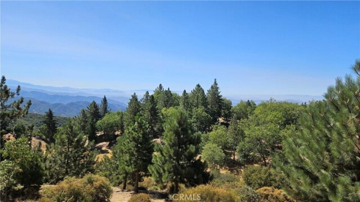 Picture of Residential Land For Sale in Running Springs, California, United States