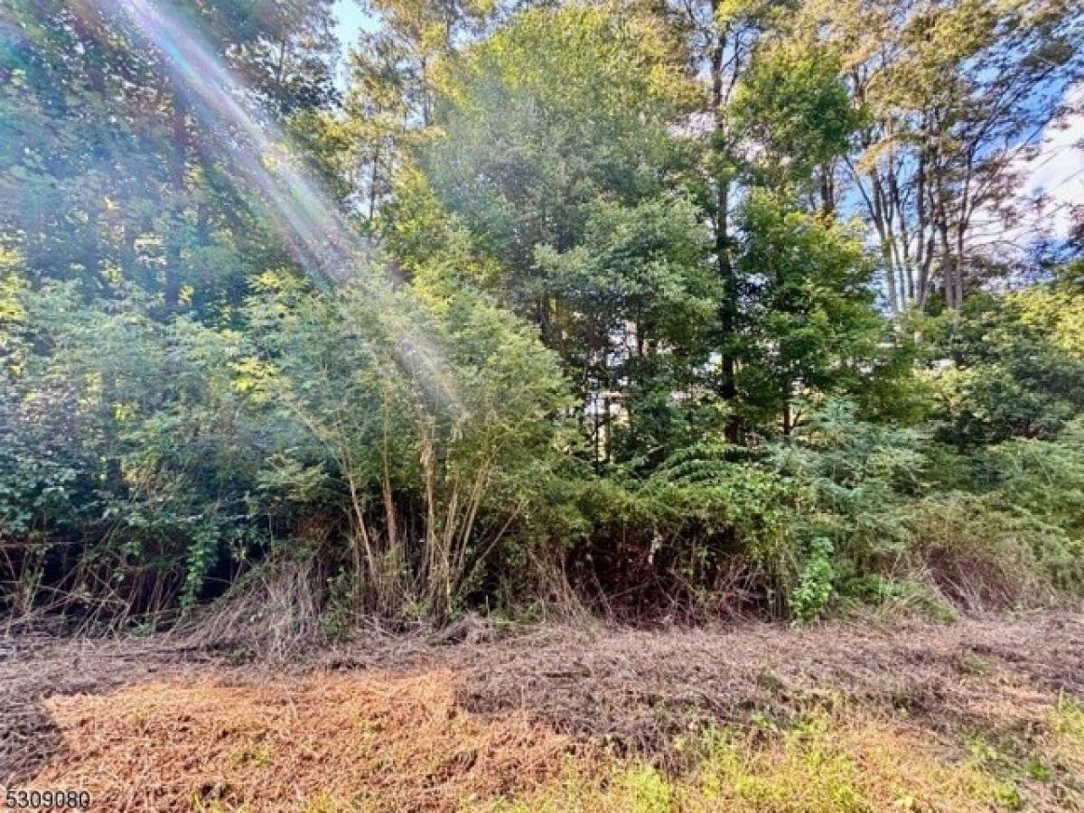 Picture of Residential Land For Sale in Franklin, New Jersey, United States