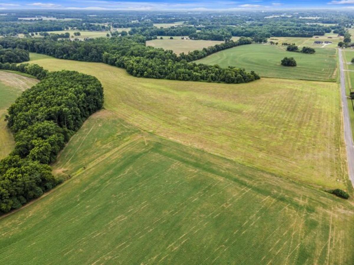 Picture of Residential Land For Sale in Ardmore, Tennessee, United States