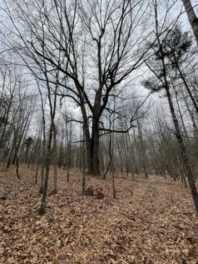 Residential Land For Sale in Portland, Tennessee