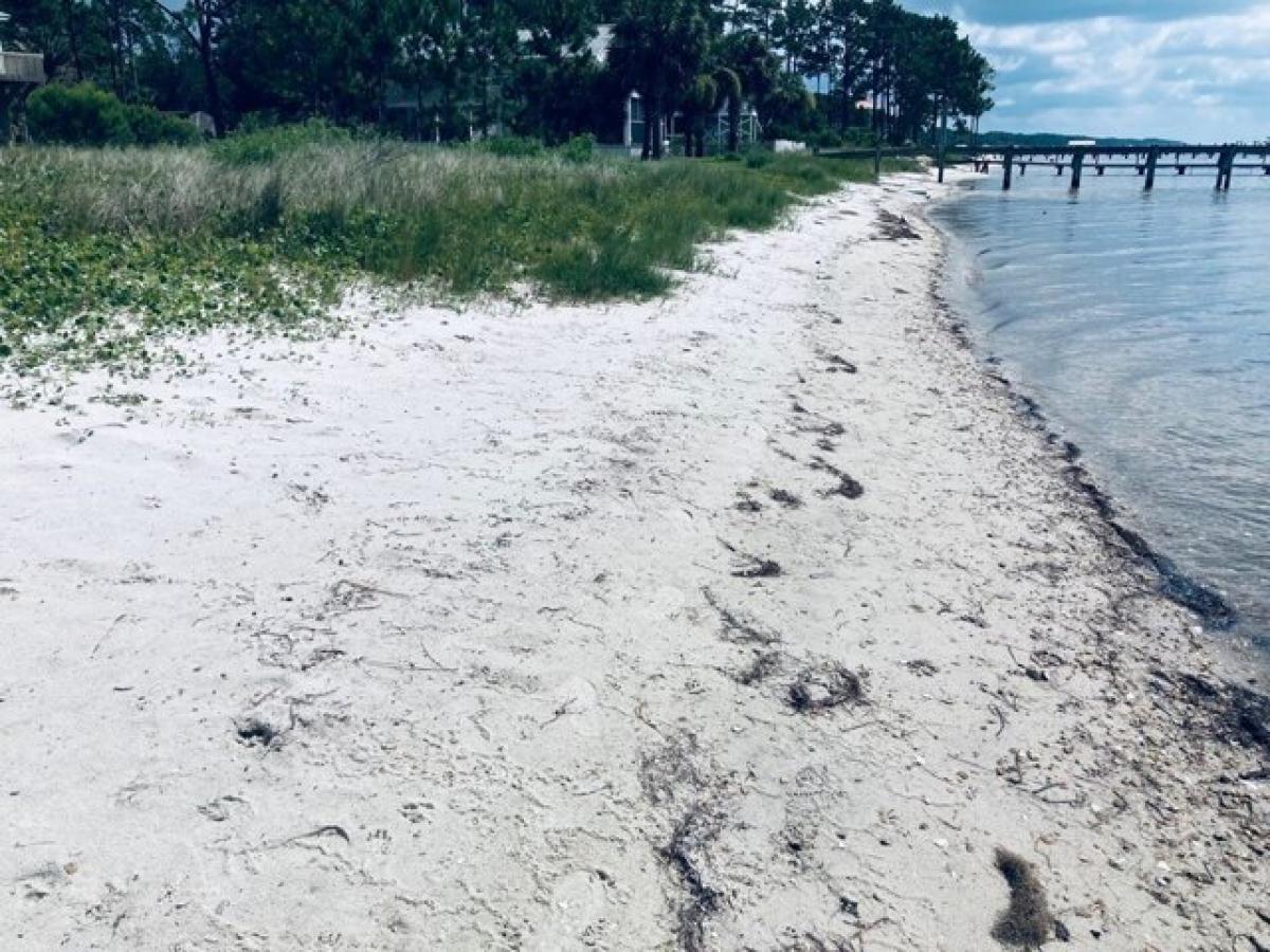 Picture of Residential Land For Sale in Lanark Village, Florida, United States