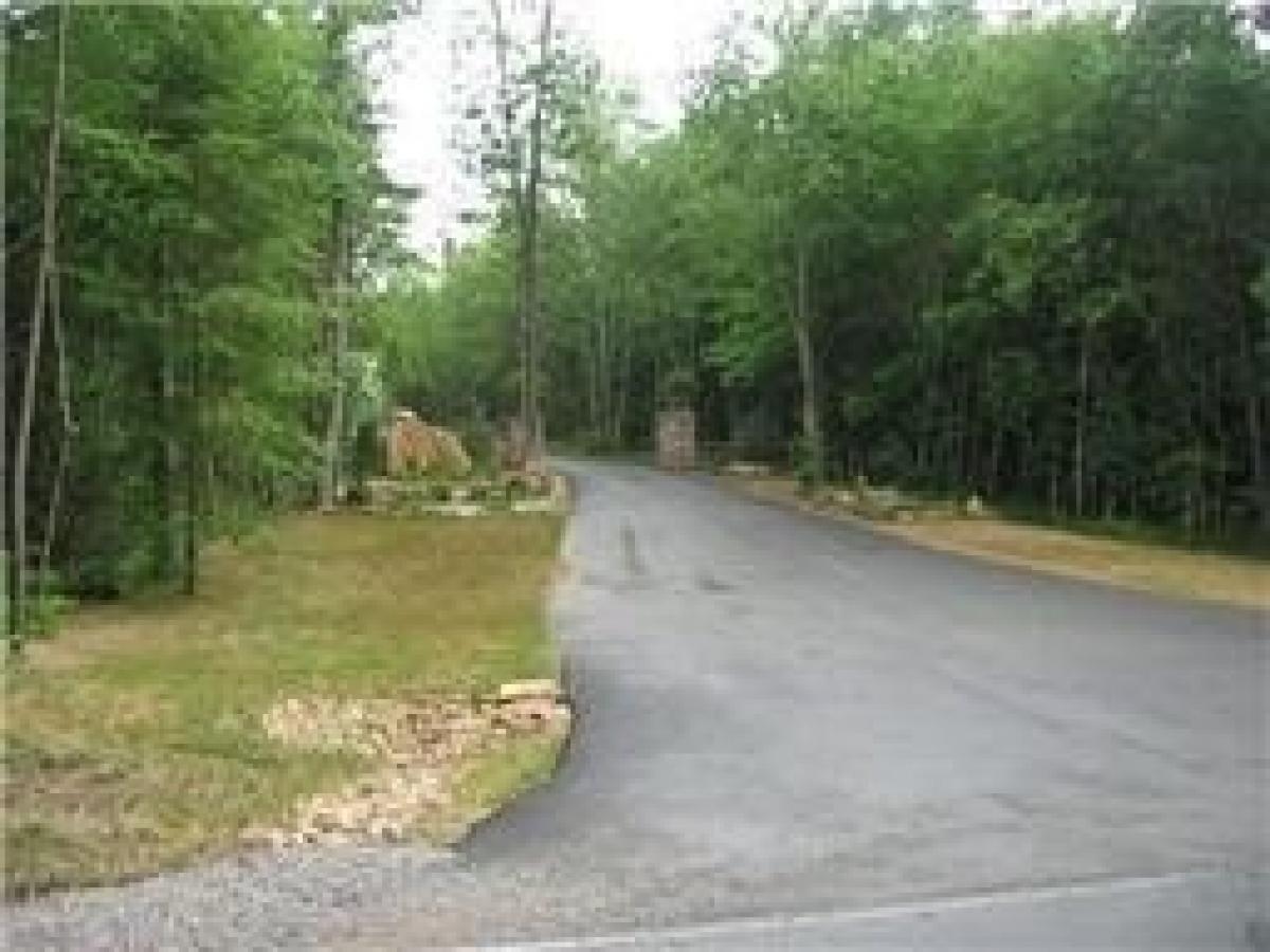 Picture of Residential Land For Sale in Coalmont, Tennessee, United States