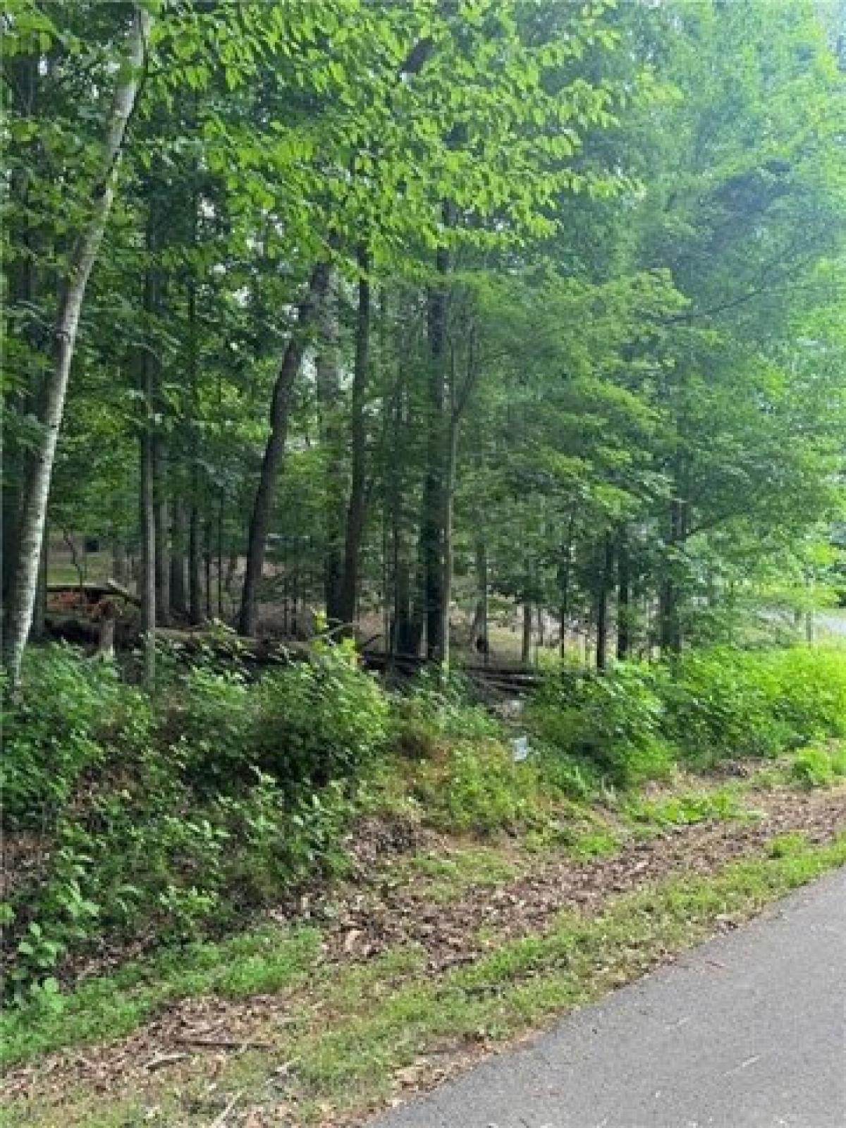 Picture of Residential Land For Sale in Jasper, Georgia, United States