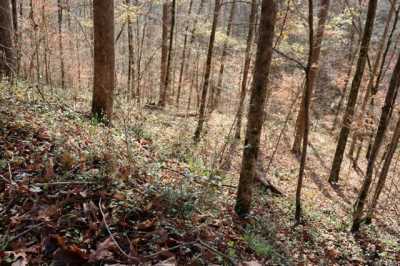 Residential Land For Sale in Smithville, Tennessee