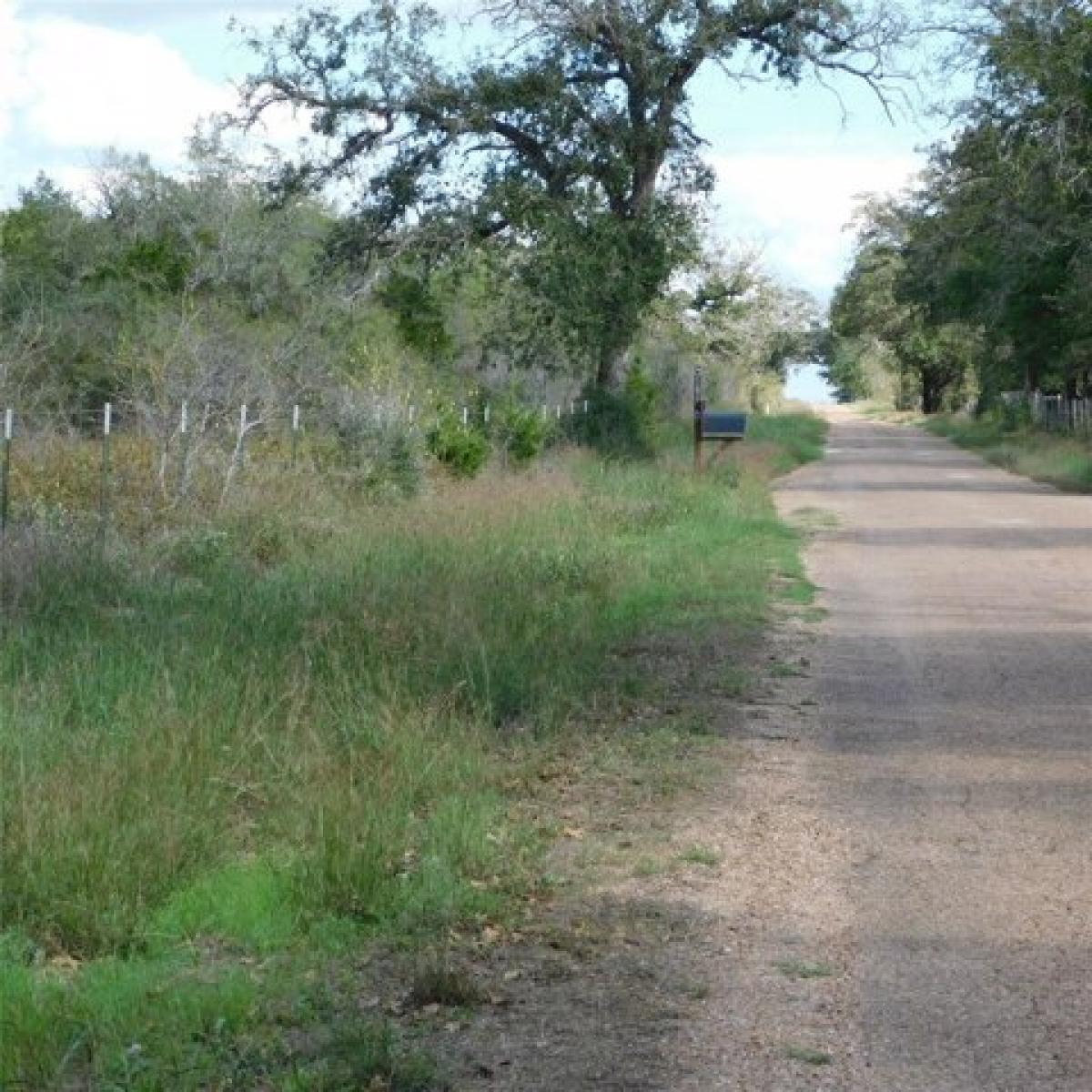 Picture of Residential Land For Sale in Flatonia, Texas, United States