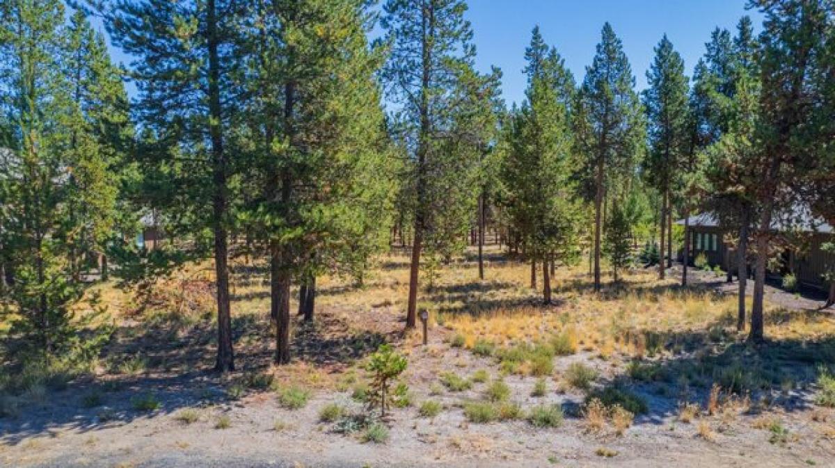 Picture of Residential Land For Sale in Bend, Oregon, United States