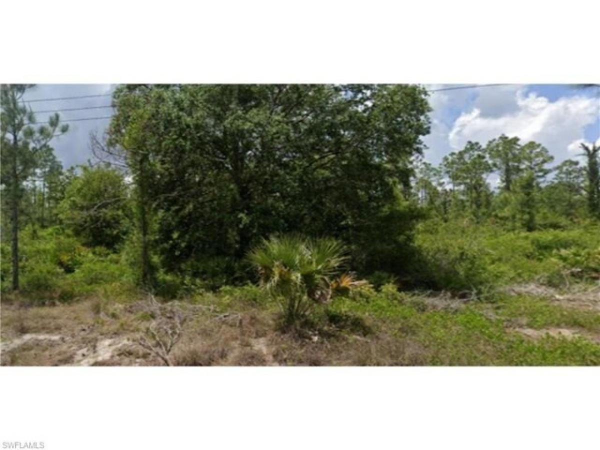 Picture of Residential Land For Sale in Alva, Florida, United States