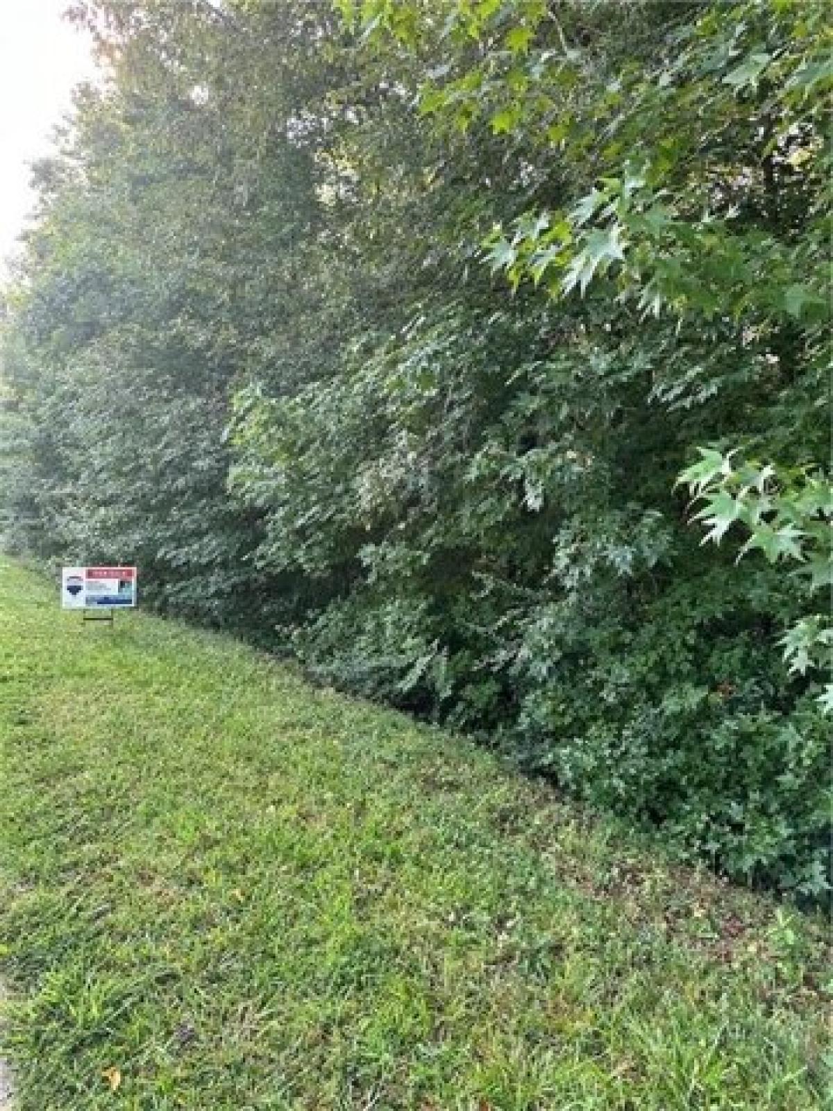 Picture of Residential Land For Sale in Temple, Georgia, United States