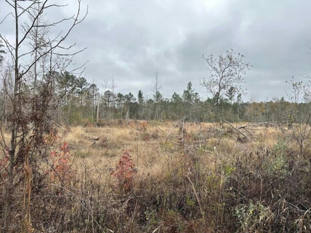 Picture of Residential Land For Sale in Chipley, Florida, United States