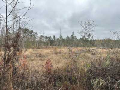 Residential Land For Sale in Chipley, Florida