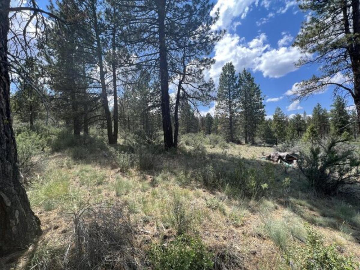 Picture of Residential Land For Sale in Bonanza, Oregon, United States