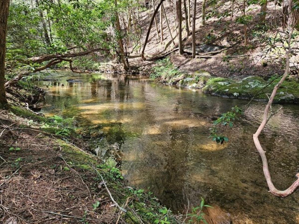 Picture of Residential Land For Sale in Big Canoe, Georgia, United States