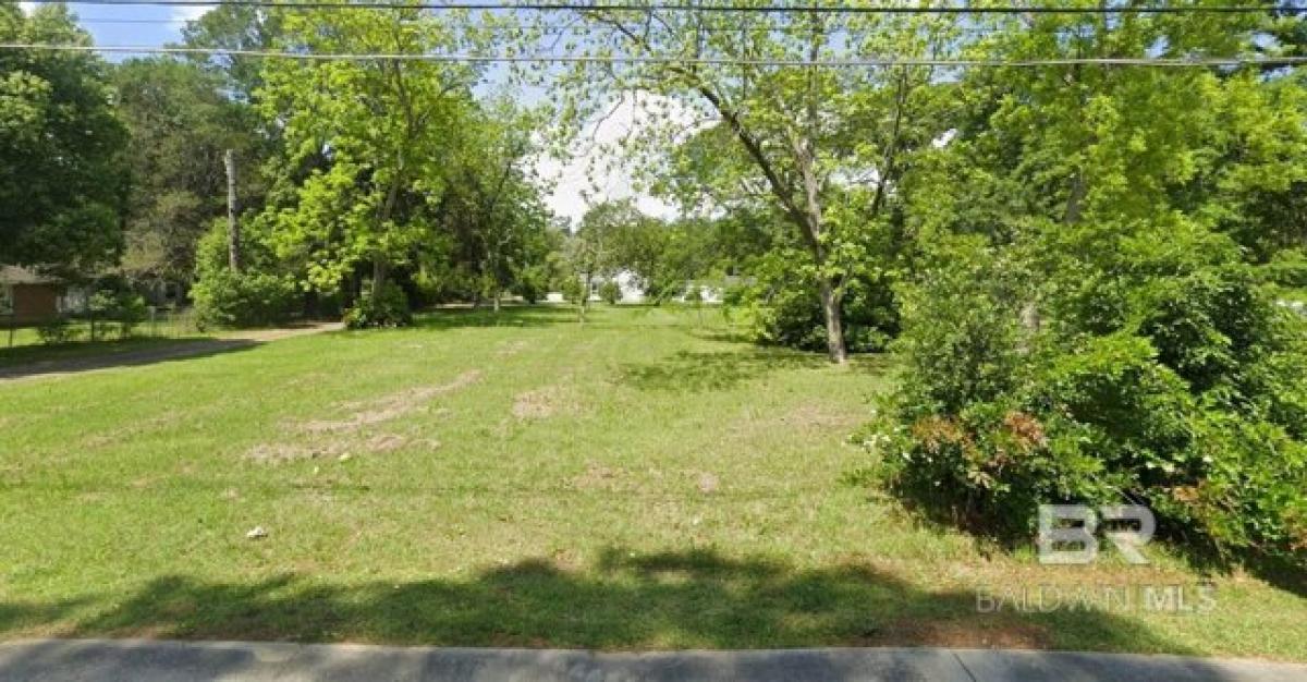 Picture of Residential Land For Sale in Robertsdale, Alabama, United States