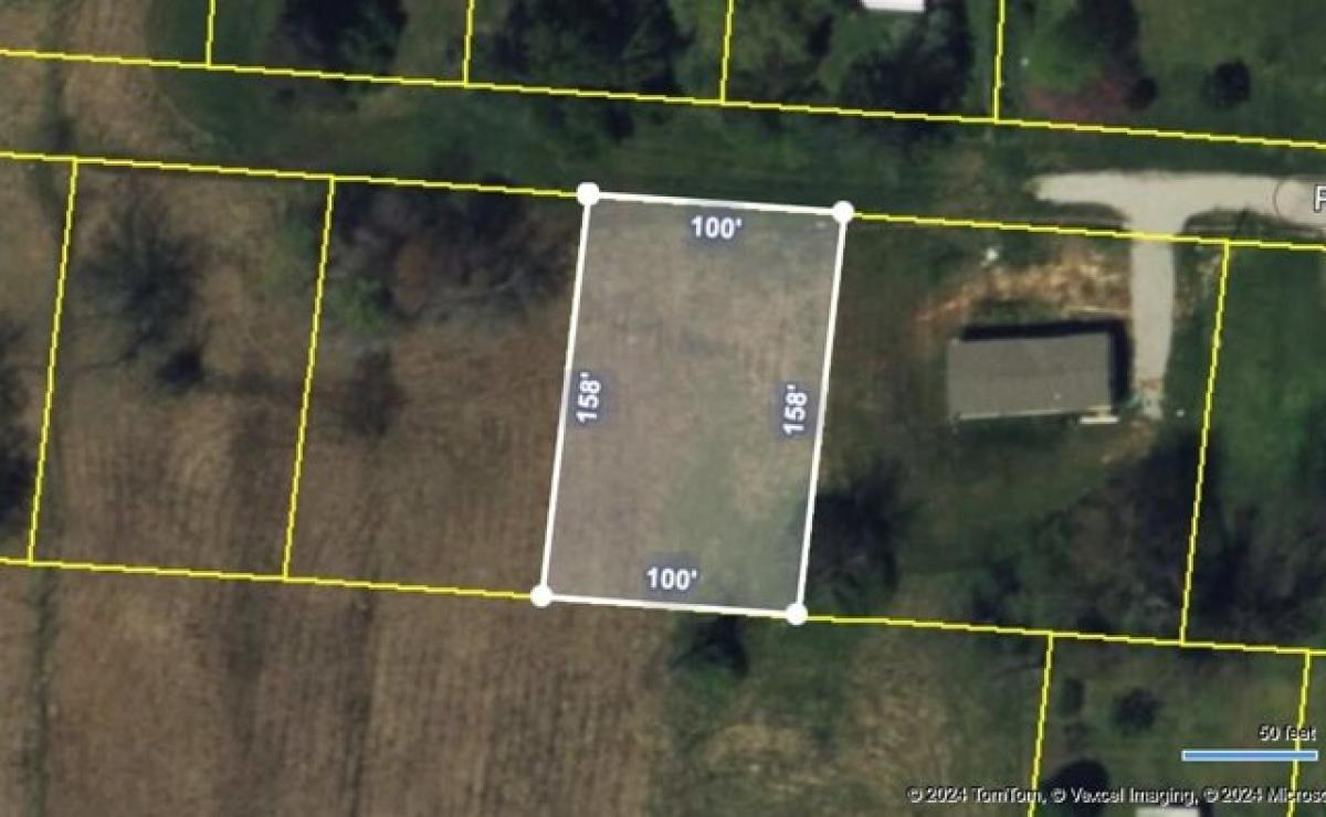 Picture of Residential Land For Sale in Livingston, Tennessee, United States