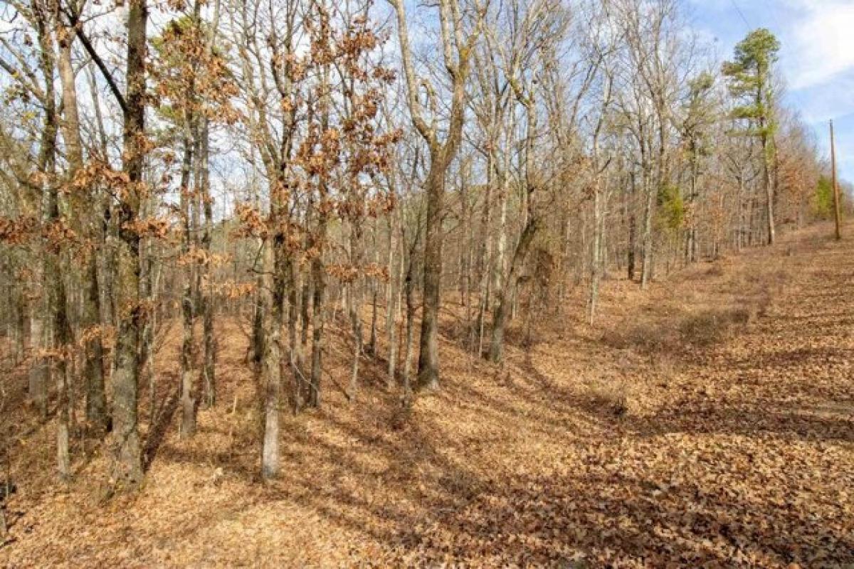 Picture of Residential Land For Sale in North Little Rock, Arkansas, United States