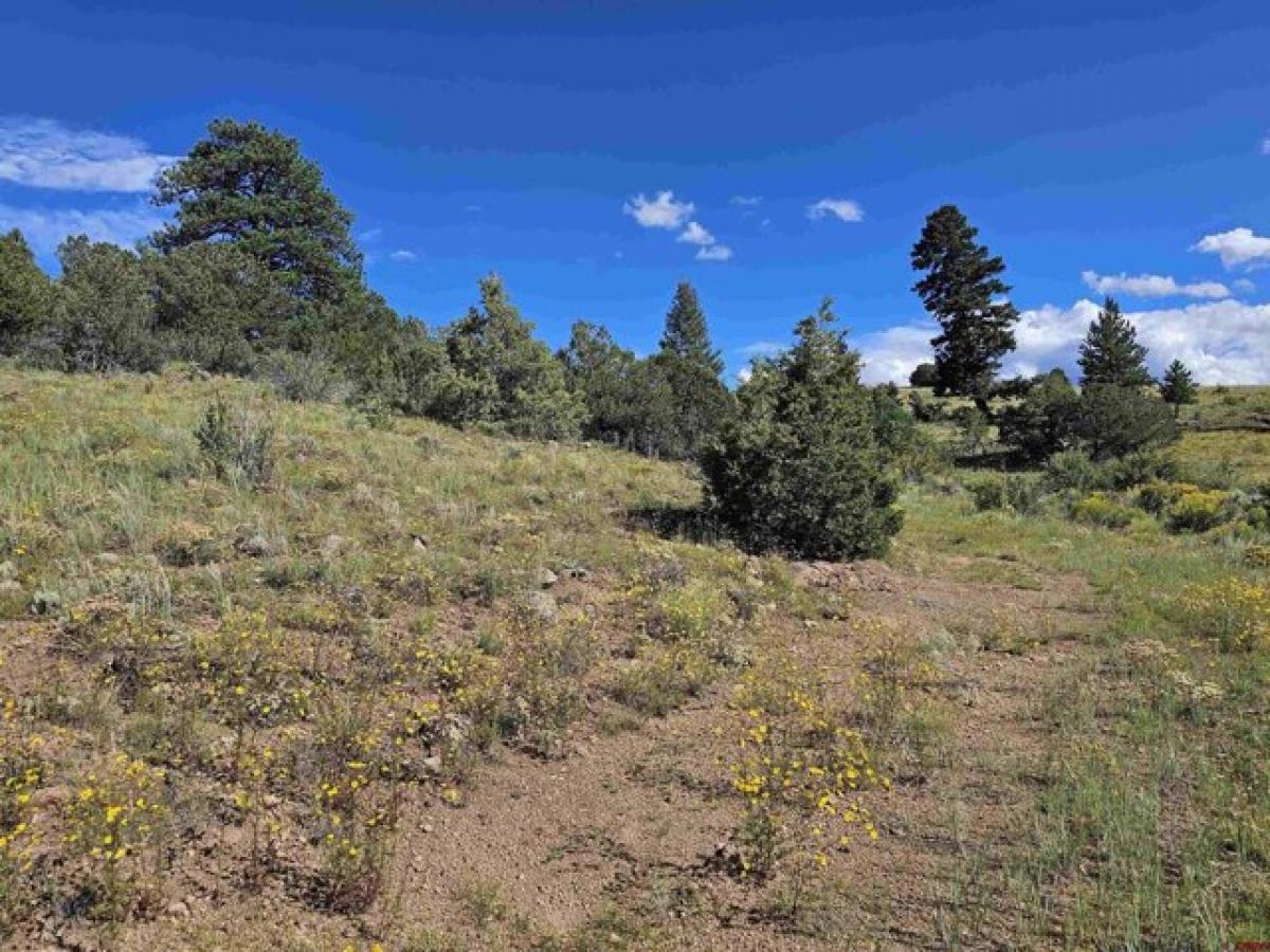 Picture of Residential Land For Sale in South Fork, Colorado, United States