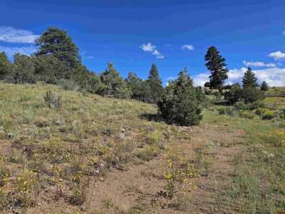 Residential Land For Sale in South Fork, Colorado