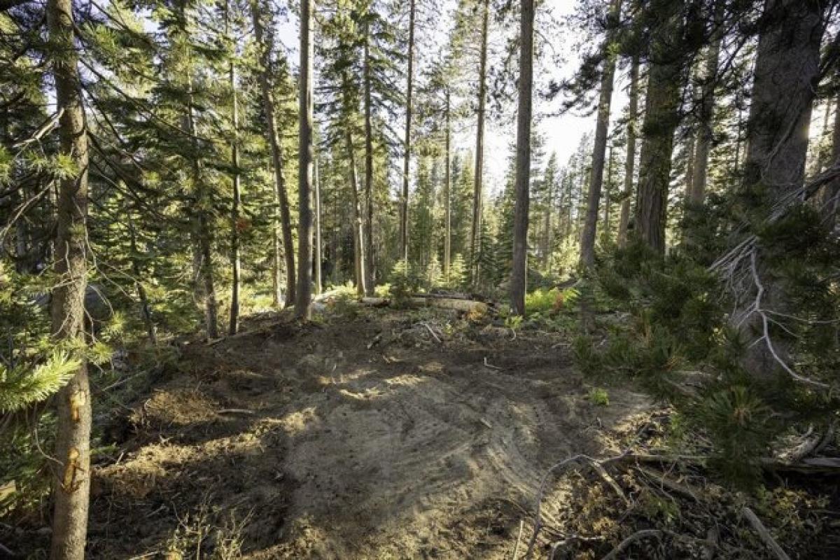 Picture of Residential Land For Sale in Soda Springs, California, United States