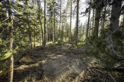 Residential Land For Sale in Soda Springs, California