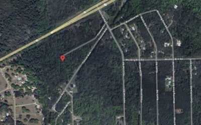 Residential Land For Sale in Satsuma, Florida