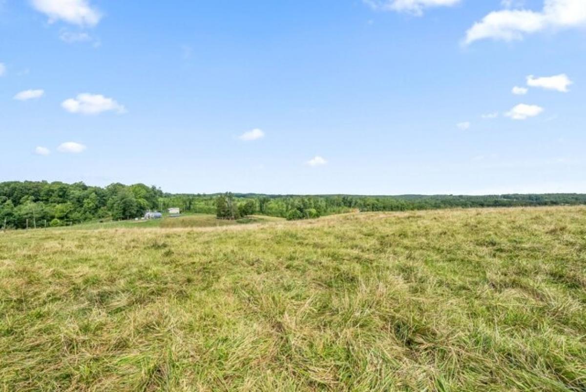 Picture of Residential Land For Sale in Erin, Tennessee, United States