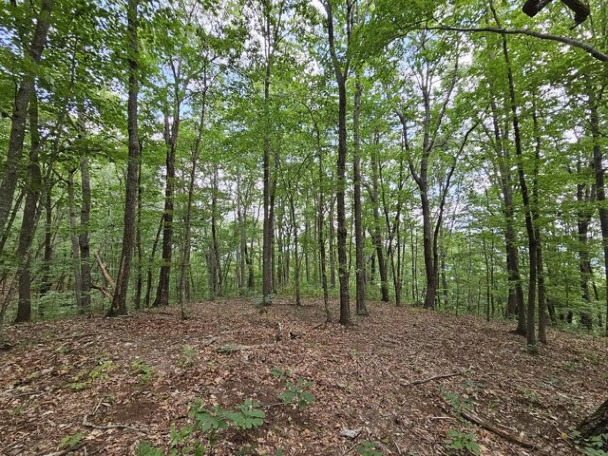 Picture of Residential Land For Sale in Altamont, Tennessee, United States