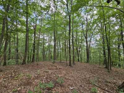 Residential Land For Sale in Altamont, Tennessee