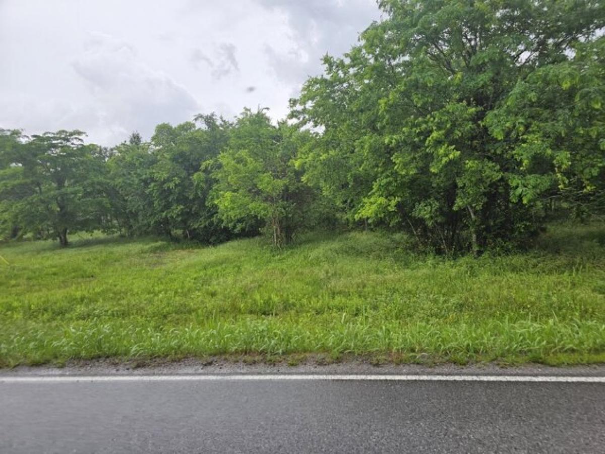 Picture of Residential Land For Sale in Morrison, Tennessee, United States