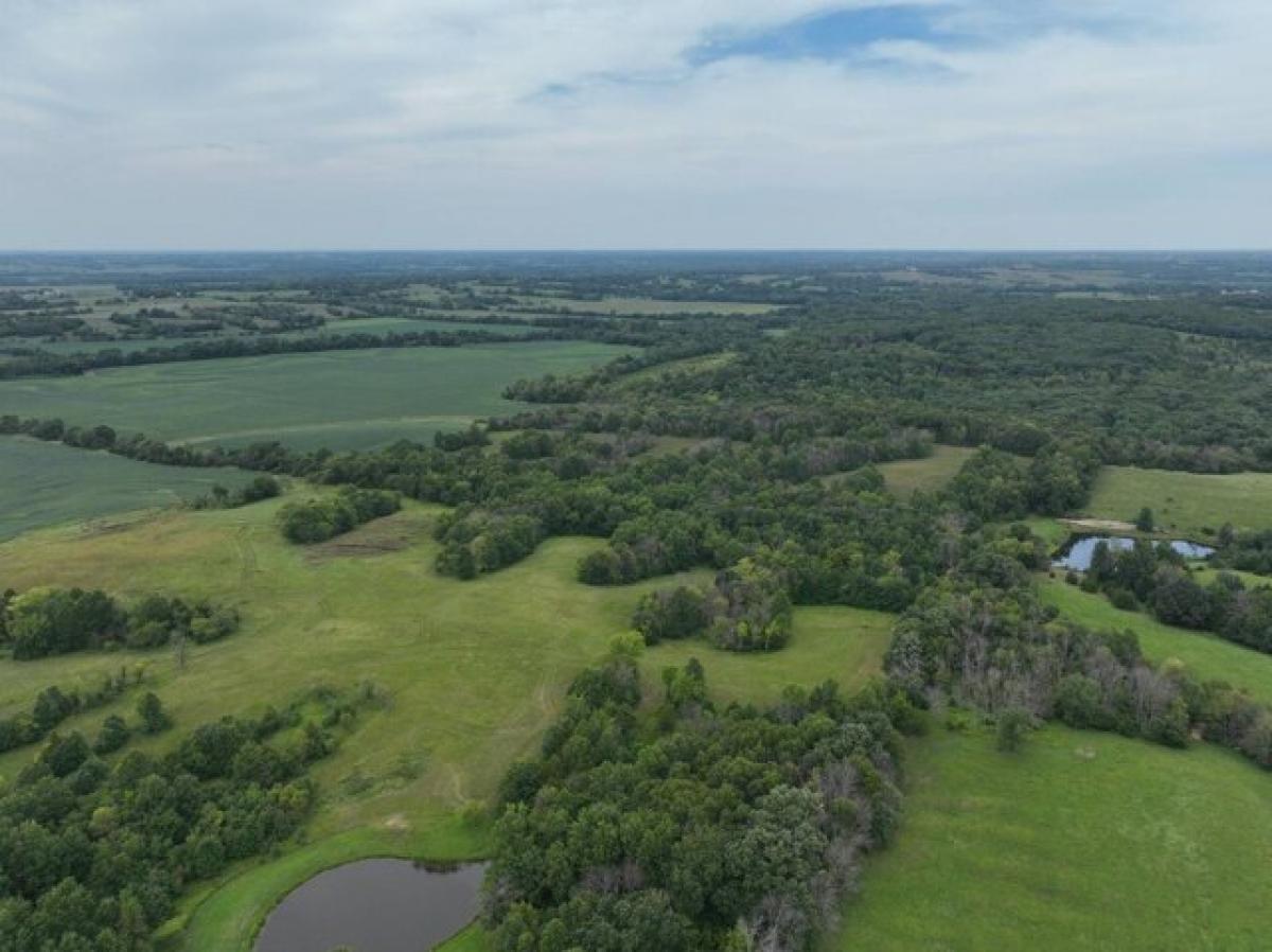 Picture of Residential Land For Sale in Spickard, Missouri, United States