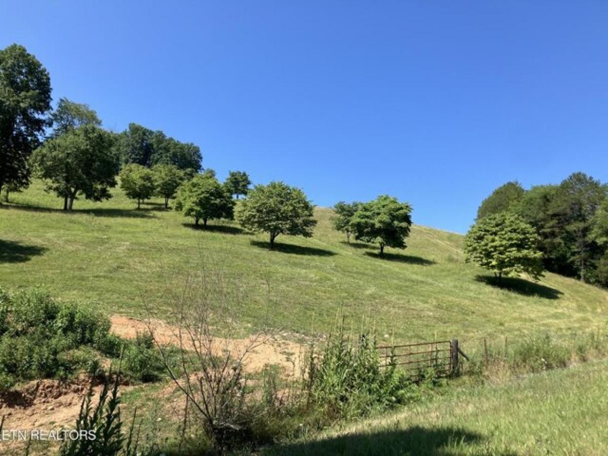 Picture of Residential Land For Sale in New Tazewell, Tennessee, United States