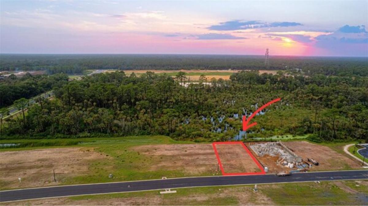 Picture of Residential Land For Sale in Flagler Beach, Florida, United States