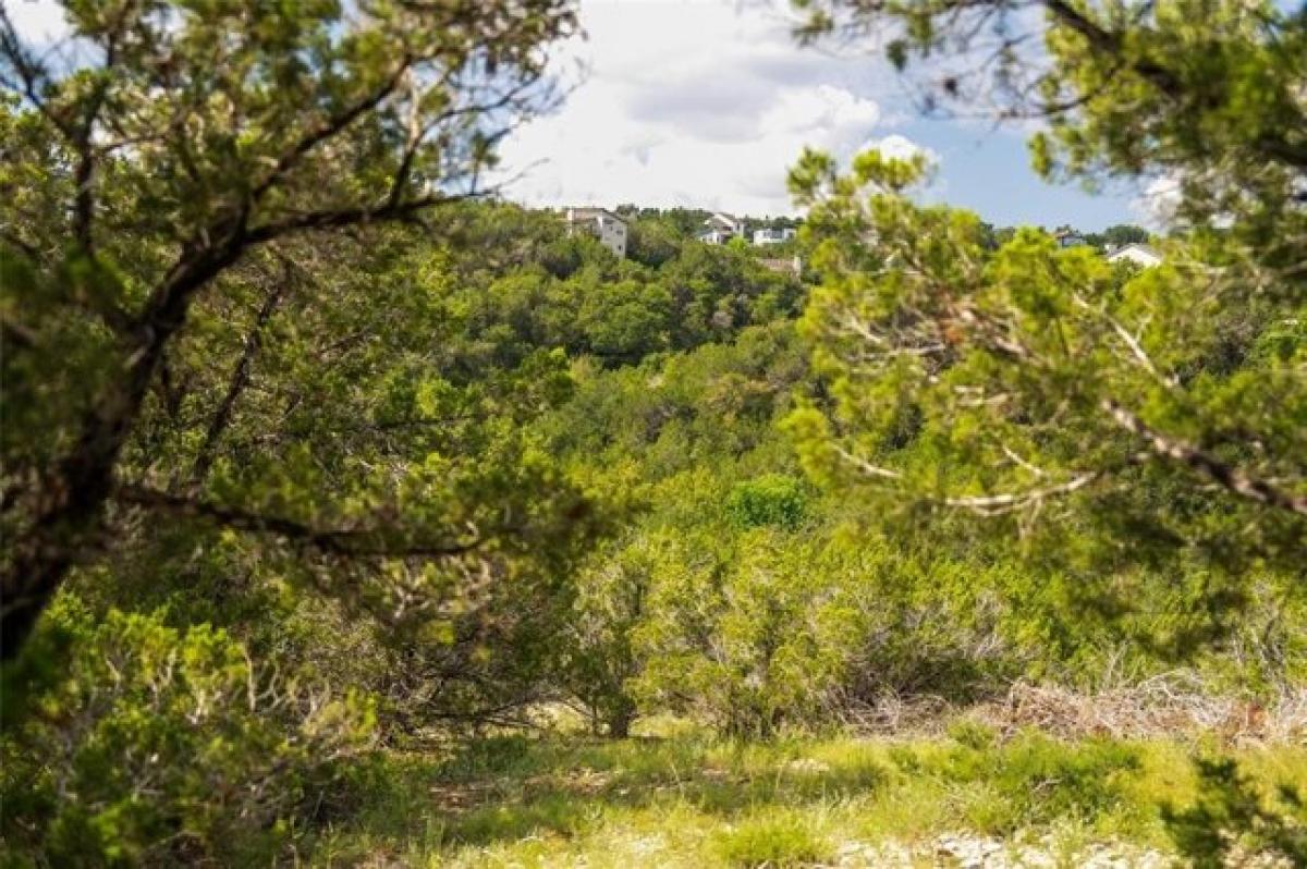 Picture of Residential Land For Sale in Austin, Texas, United States