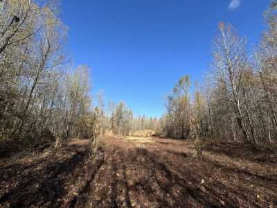 Residential Land For Sale in 