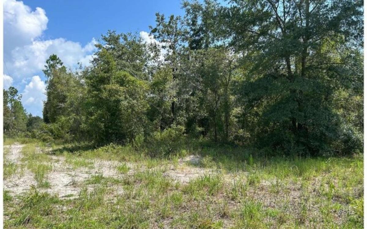 Picture of Residential Land For Sale in Mcalpin, Florida, United States