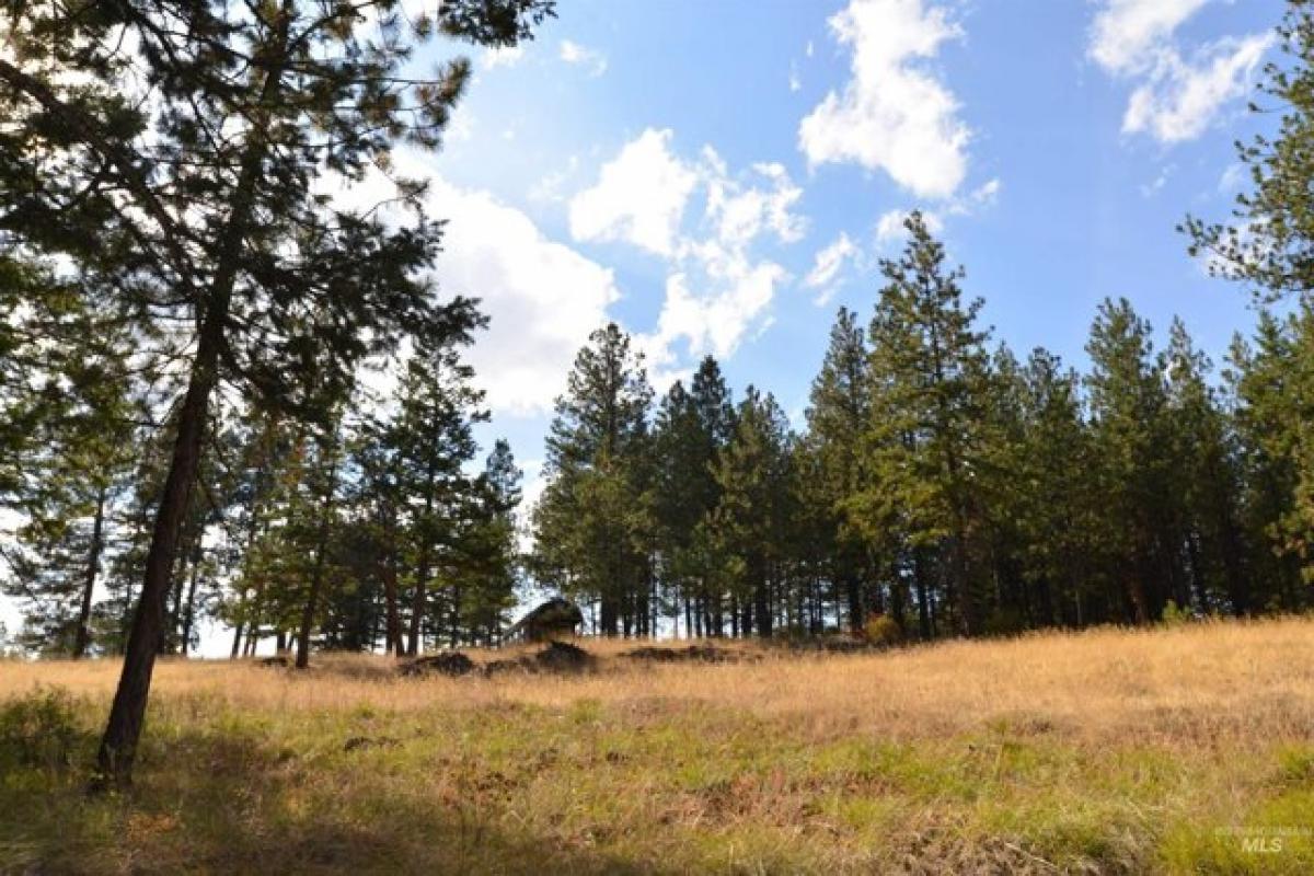 Picture of Home For Sale in Asotin, Washington, United States