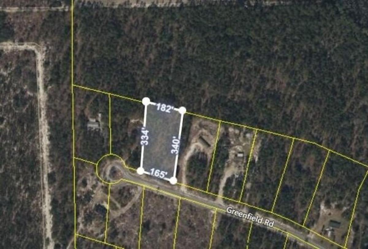 Picture of Residential Land For Sale in Blackshear, Georgia, United States