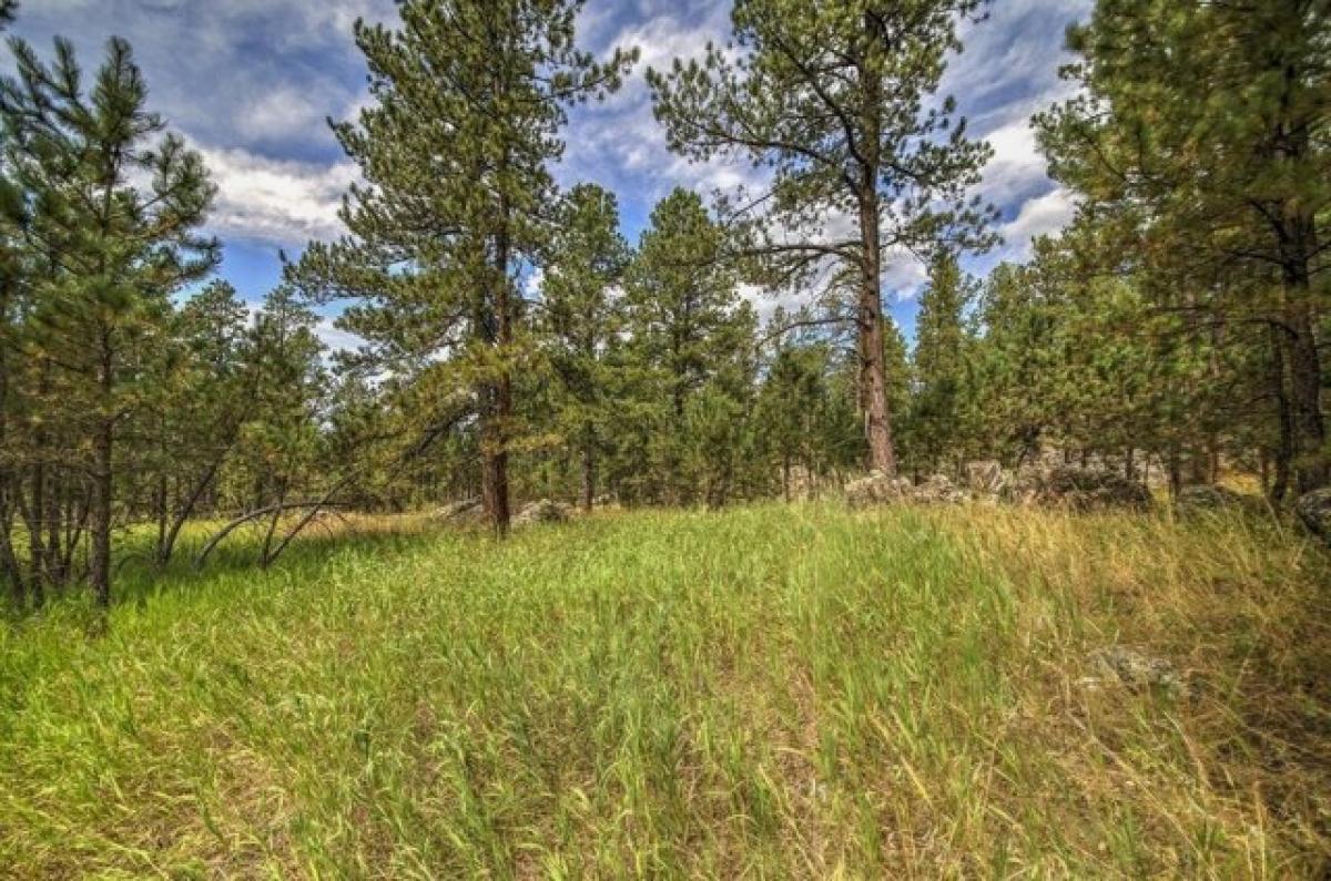 Picture of Residential Land For Sale in Custer, South Dakota, United States