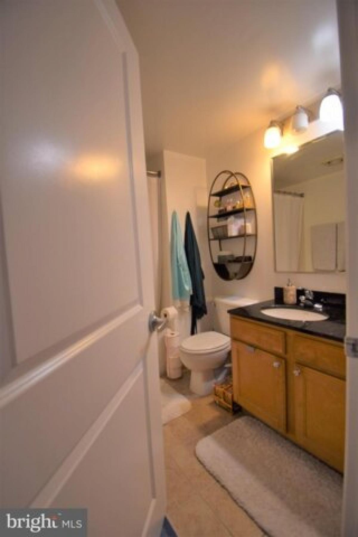 Picture of Apartment For Rent in Arlington, Virginia, United States