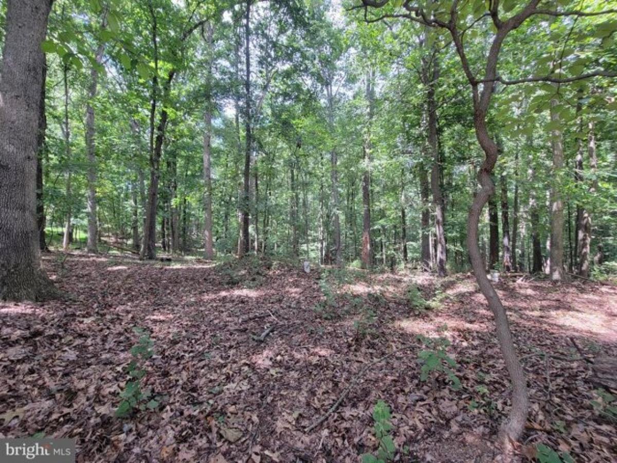 Picture of Residential Land For Sale in Cockeysville, Maryland, United States