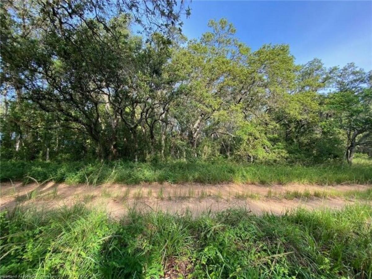 Picture of Residential Land For Sale in Avon Park, Florida, United States